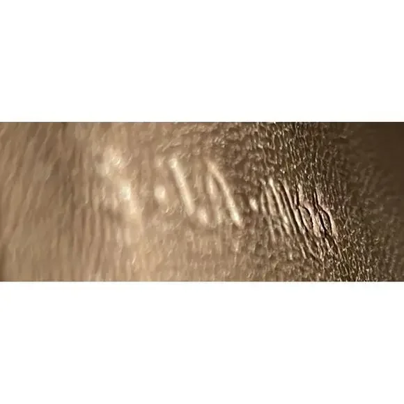 Celine Classic Box Bag Lizard Medium #210789C23B - Picture 6 of 6